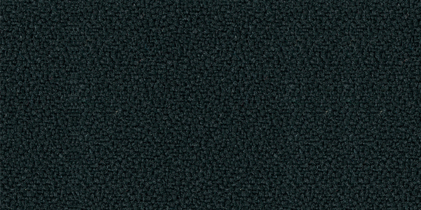 Y41 - Black