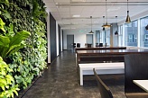 “Green” Office может одержать верх над “Lean” Office